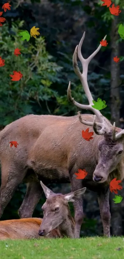 Majestic deer under falling colorful leaves in a vibrant forest scene.