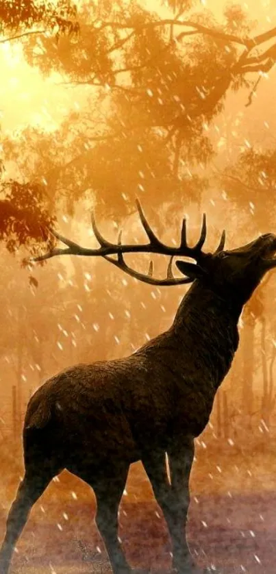 Majestic deer in a golden forest at sunset, perfect for mobile wallpaper.