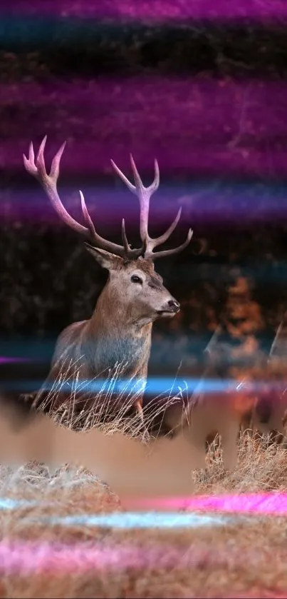 Deer standing in forest with vibrant neon lights.