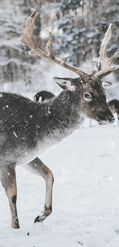 Majestic deer amidst snowy forest backdrop.