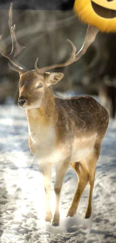 Majestic deer standing in a snowy forest with soft sunlight.