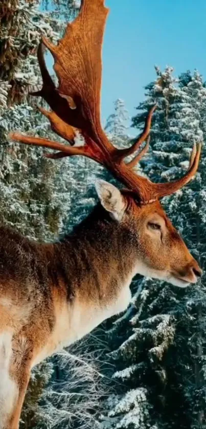 Majestic deer in a snowy forest setting.