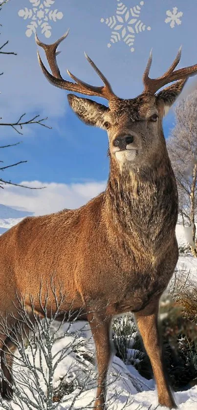 Majestic deer standing in snowy, winter landscape with blue sky.