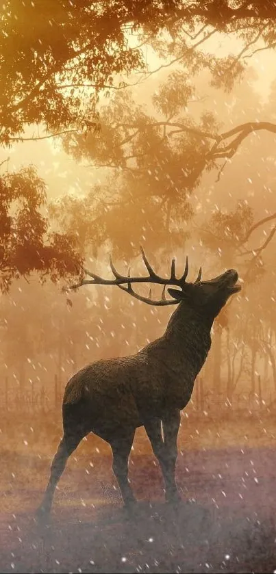 Deer standing in a sunlit foggy forest, with gentle mist.