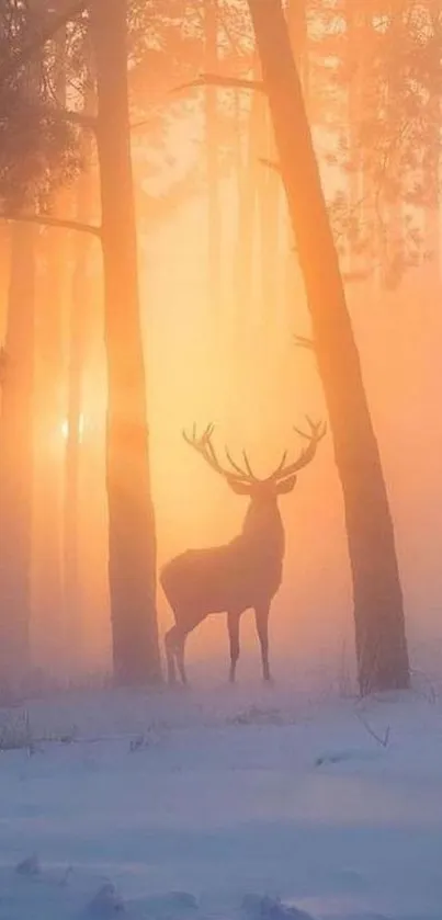 Deer silhouette in a misty sunrise forest with soft orange and blue hues.