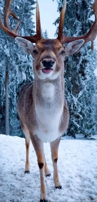 Majestic deer standing in snowy forest.