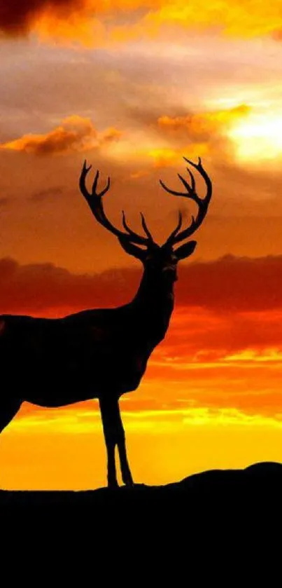 Silhouette of a deer against a vibrant orange sunset sky.