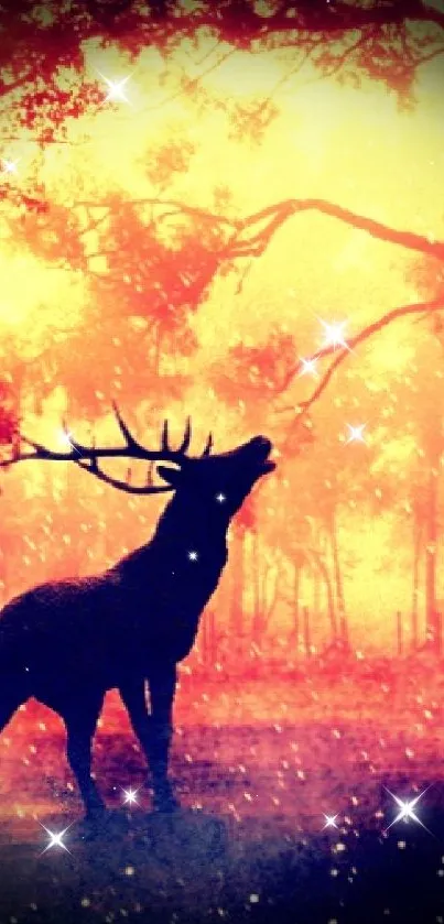 Deer silhouette at sunset in a vibrant forest background.