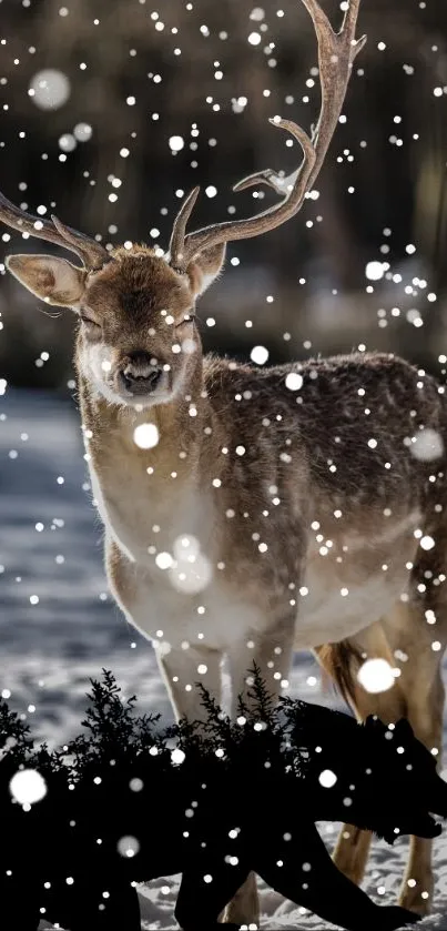 A majestic deer stands gracefully in a snowy winter landscape.