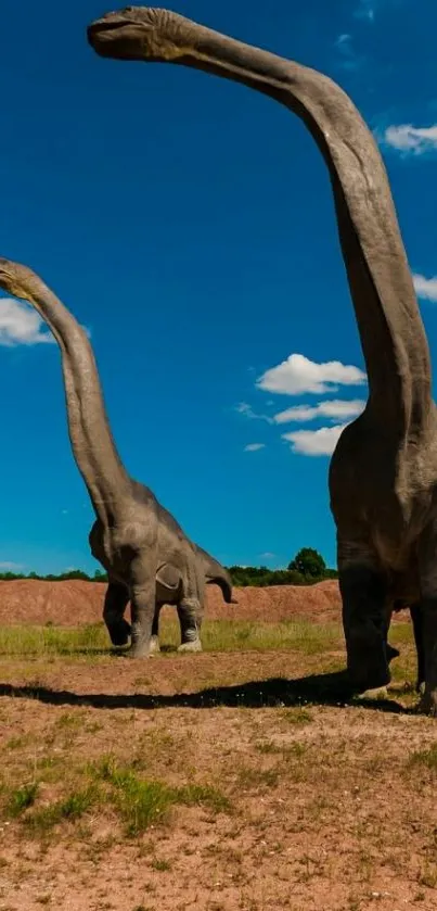 Two large dinosaurs under a clear blue sky.