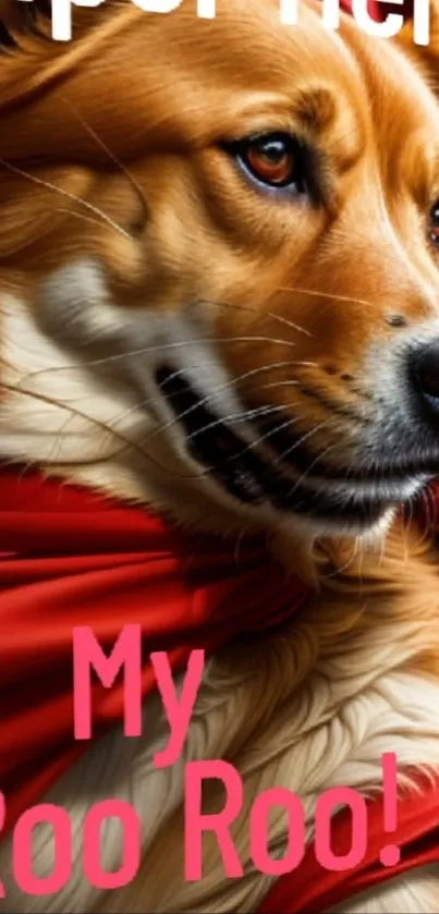 Majestic dog wearing a vibrant red cape, exuding elegance and charm.