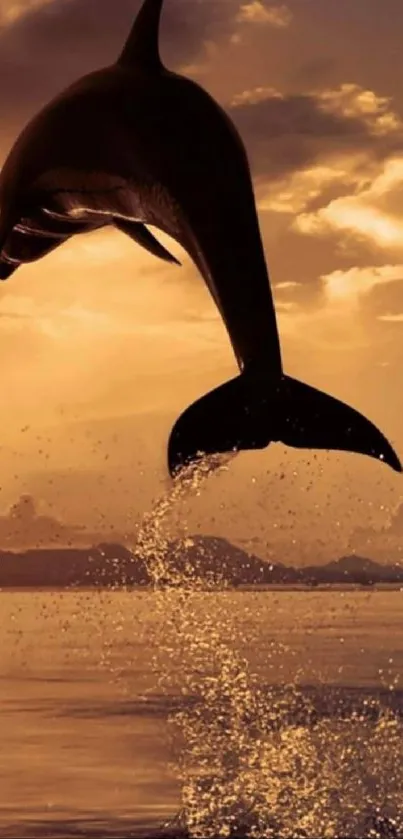 Dolphin leaping in a golden sunset over the ocean.