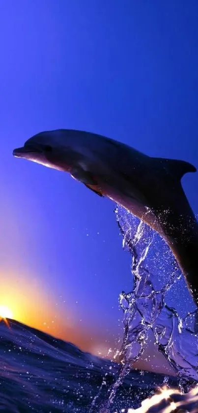 Dolphin leaping against a vibrant sunset sky with water splash.