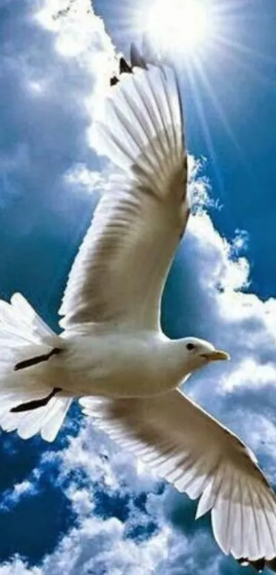 A majestic dove soars against a vibrant blue sky with white clouds and shining sun.