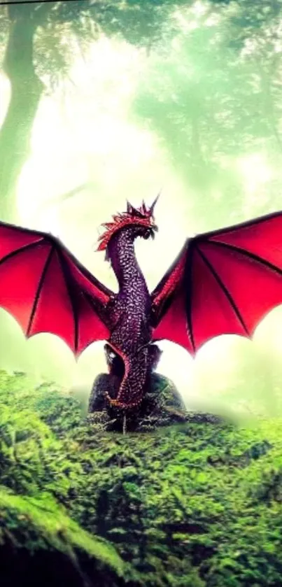 Majestic red dragon spreads wings in enchanted forest.