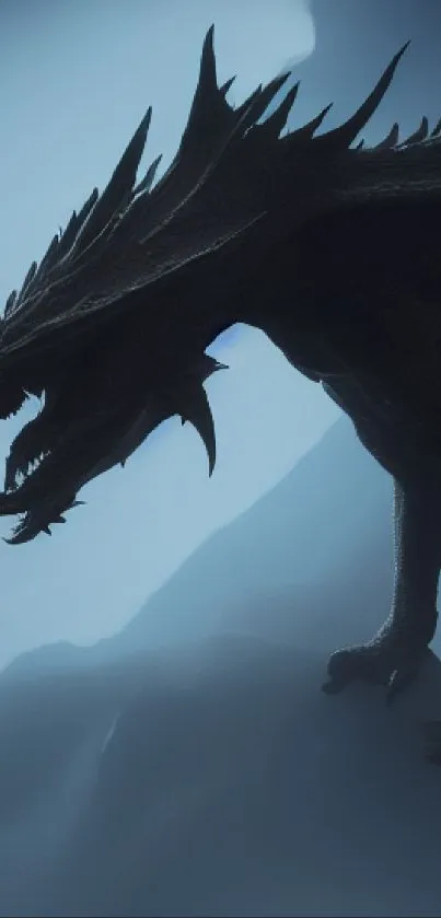 Silhouette of dragon on misty mountain background.