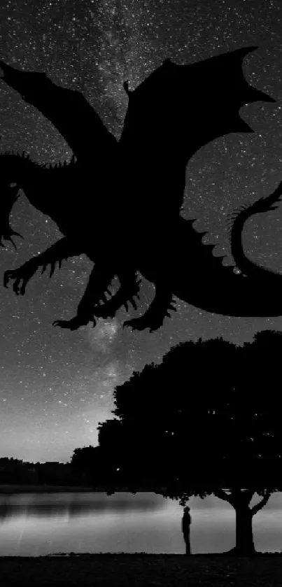 Dragon silhouette over starry night sky with tree reflection.