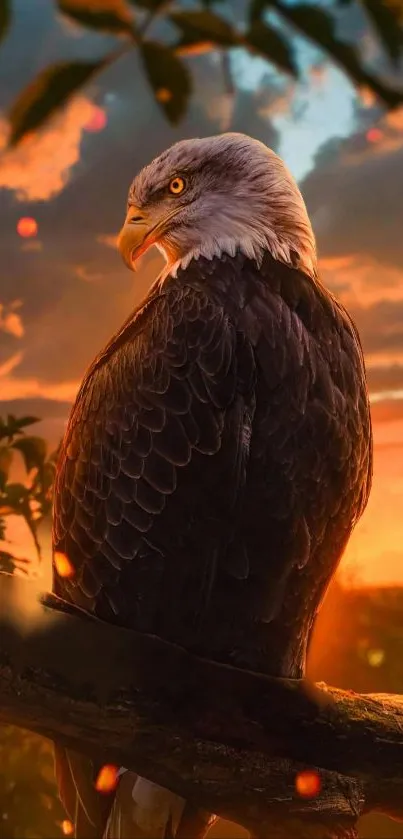 Majestic eagle perched at sunset with golden sky backdrop.