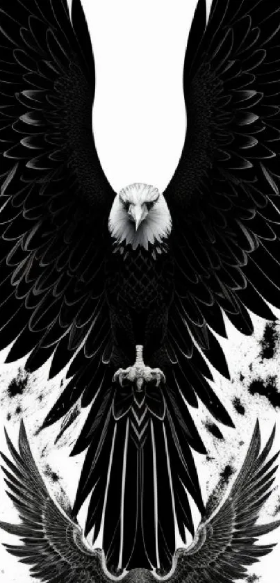 Majestic black and white eagle with outstretched wings in striking pose.