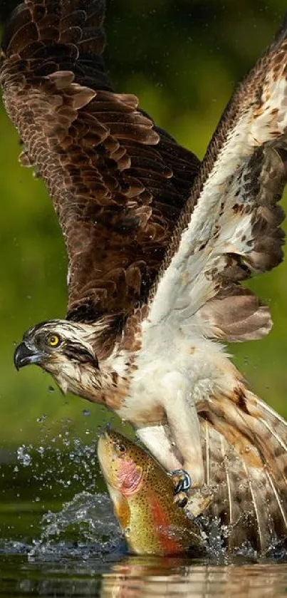 Eagle clutching a fish over water in a nature setting.