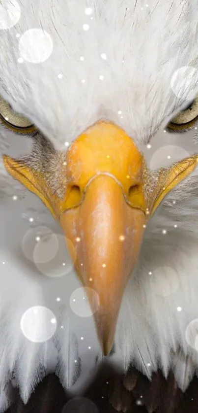 Close-up of a majestic eagle with striking features and snowy backdrop.