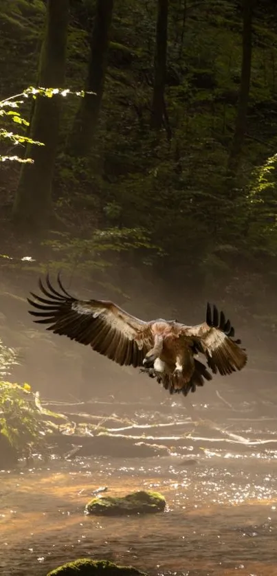 Majestic eagle soaring in sunlit forest.