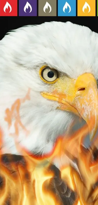 Eagle with vibrant flames on a black background mobile wallpaper.