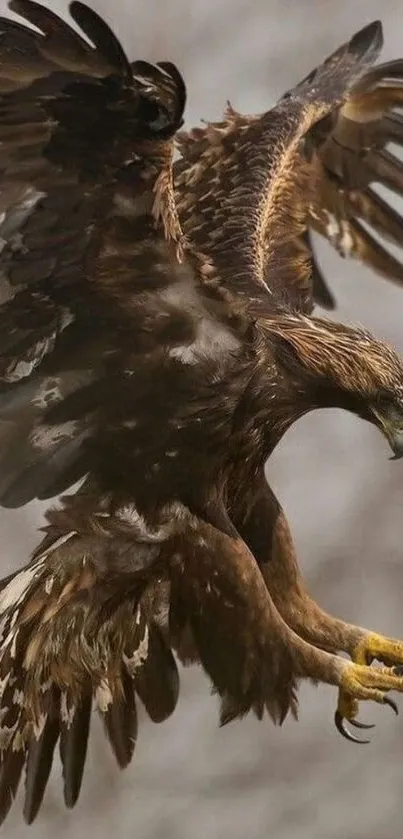 Majestic eagle in mid-flight with detailed feathers.