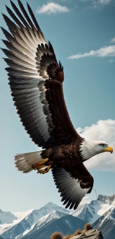 Eagle soaring majestically over snowy mountains with a blue sky backdrop.