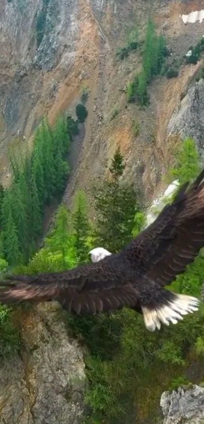 Eagle soaring over lush green forest and rocky cliffs.