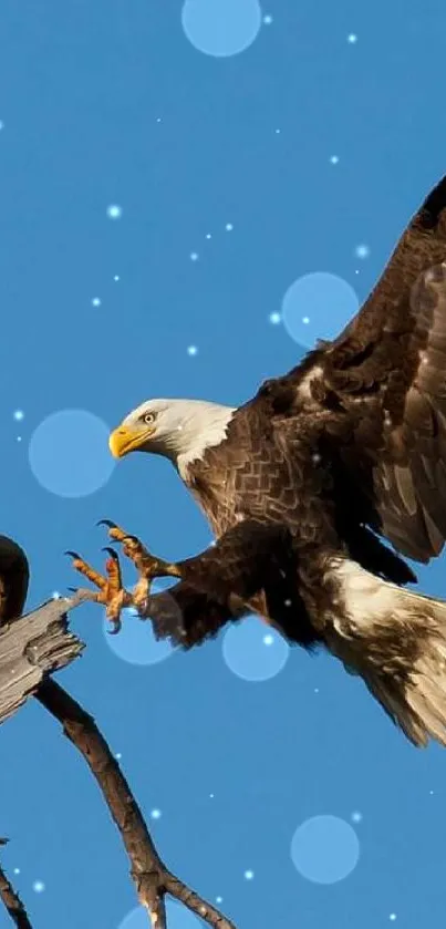 Eagle landing on tree branch against blue sky, showcasing wildlife grace.