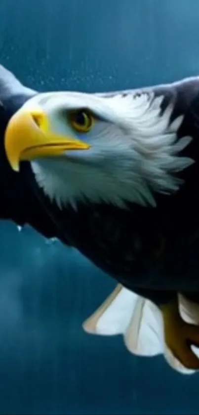 A majestic eagle soaring in the sky, showcasing its impressive wingspan.