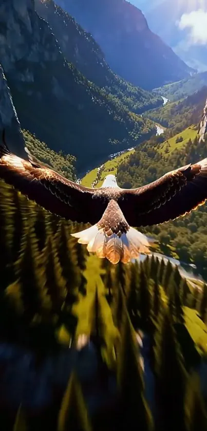 Eagle soaring over a beautiful green valley with mountains.