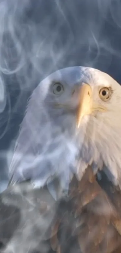 Majestic eagle with smoke background, perfect for a unique mobile wallpaper.