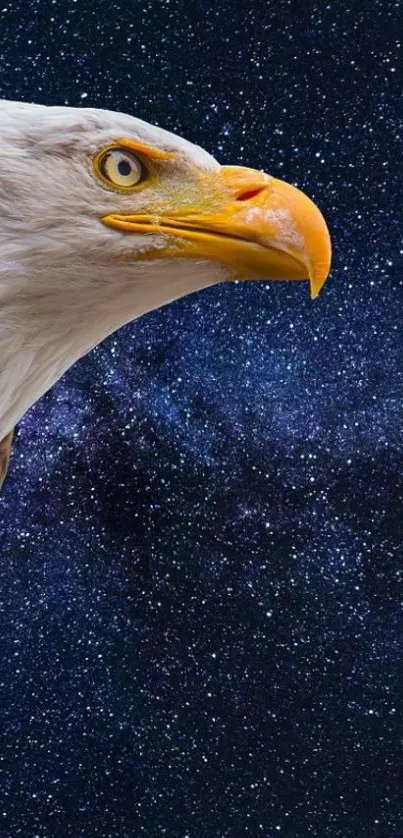 Bald eagle head against a starry night sky background.