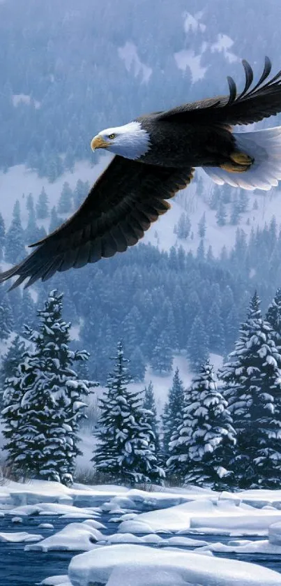 Eagle soaring over snow-covered winter forest and river.