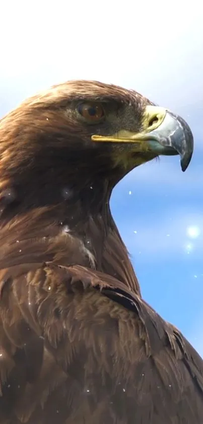 Majestic brown eagle against a blue sky with subtle sparkles.