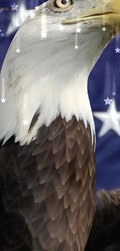 Majestic eagle with stars on a deep blue background.