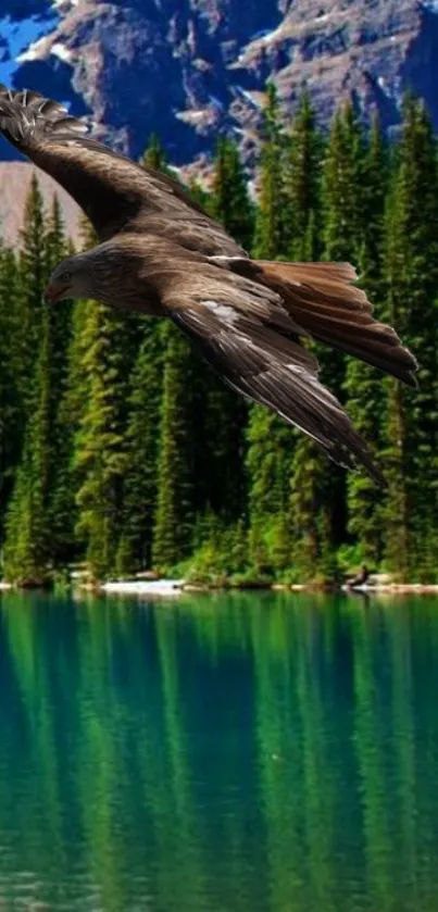 Eagle soaring above tranquil mountain lake with forest backdrop and blue sky.