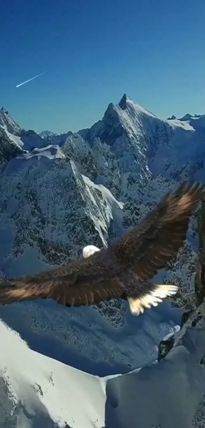 Eagle soaring above snow-covered mountains under a deep blue sky.