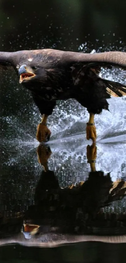 Eagle skimming over water with reflection, creating a dynamic and serene mobile wallpaper.