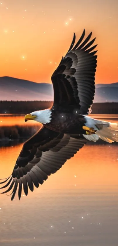 Bald eagle gracefully flying over sunset-lit lake with mountains in the background.