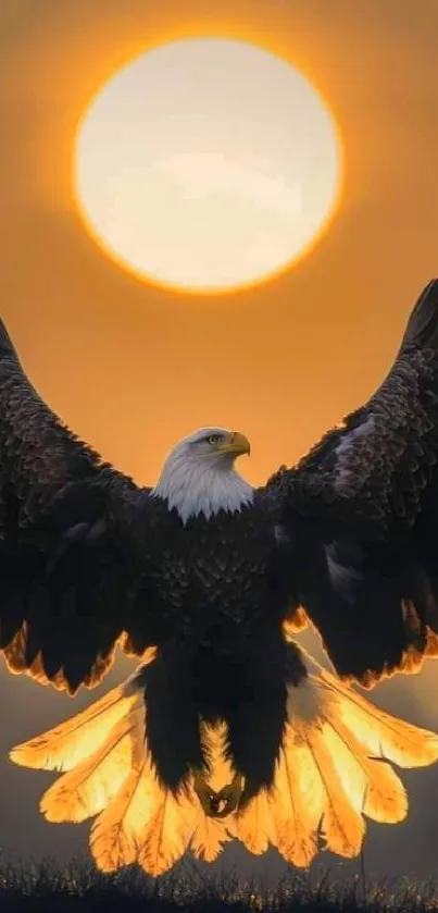 Majestic eagle soaring against a vibrant sunset sky, wings spread wide.