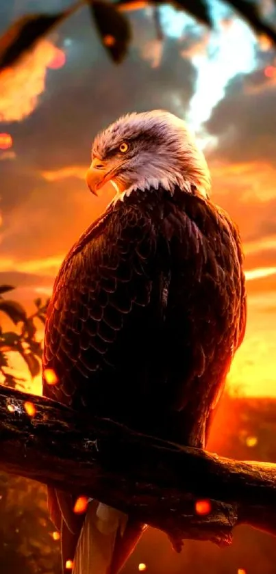 Bald eagle perched on a branch against a stunning sunset backdrop.