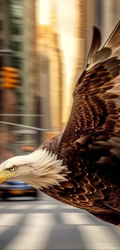 Bald eagle in flight through city streets, dynamic urban landscape.