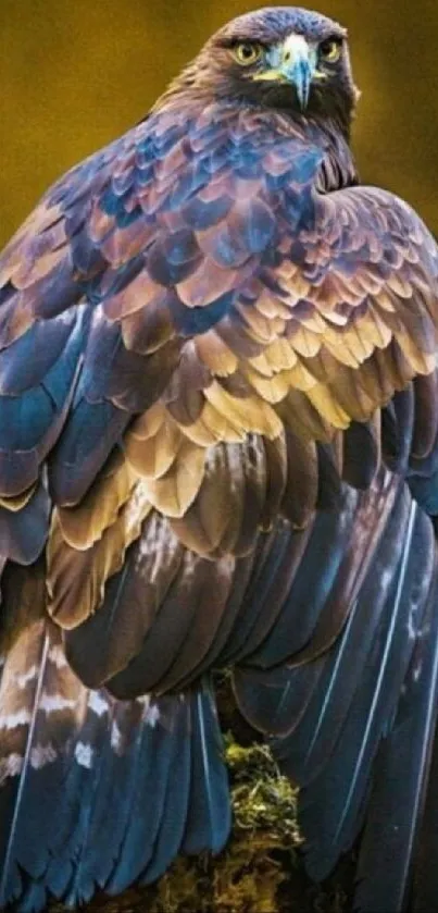 Majestic eagle in detailed plumage on a mobile wallpaper.