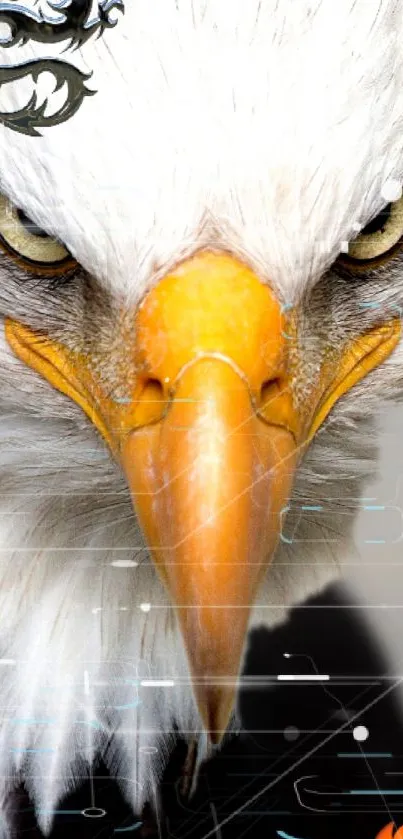 Close-up of an eagle with fierce eyes and a dragon tattoo on its head.