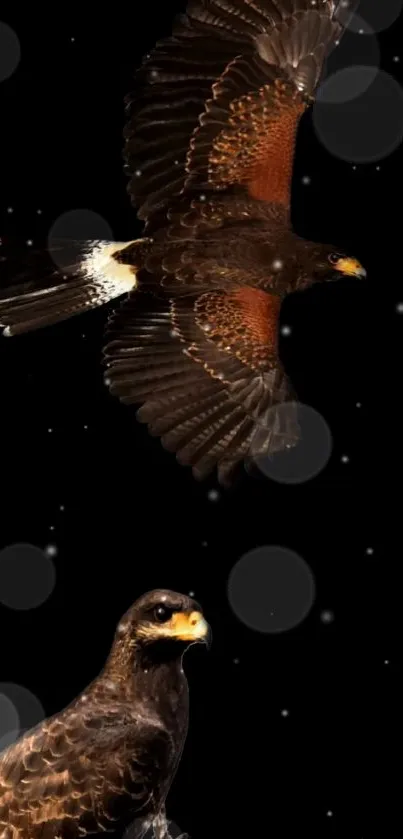 Eagles in flight with dark night sky background, ideal for mobile screen.