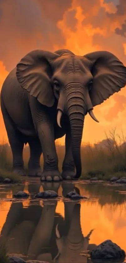 Majestic elephant walking at sunset by water.