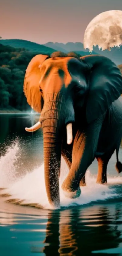 Elephant walks through water lit by moonlight in captivating nature scene.